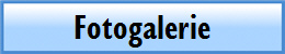 Fotogalerie