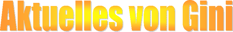 Aktuelles von Gini