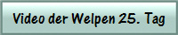 Video der Welpen 25. Tag